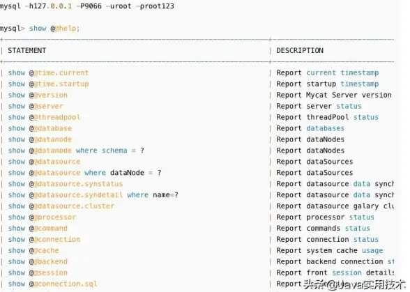 数据库技术|数据管理 MySQL的介绍_mysql的简介