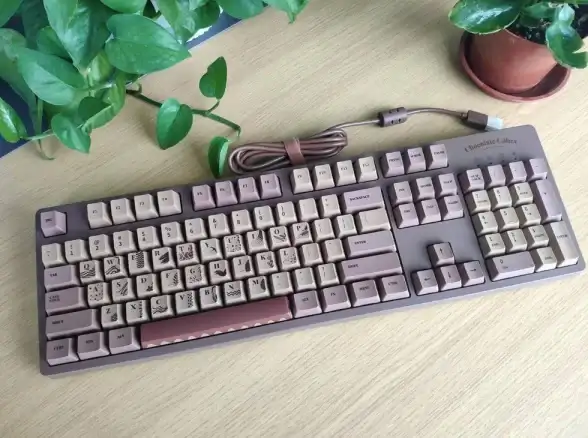 键盘对比｜机械键盘与普通键盘的区别解析🔍输入体验大不同