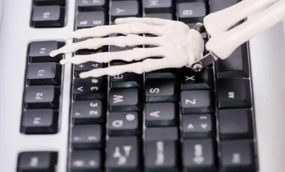 系统|学习 linux操作系统入门、Linux操作系统的入门指南