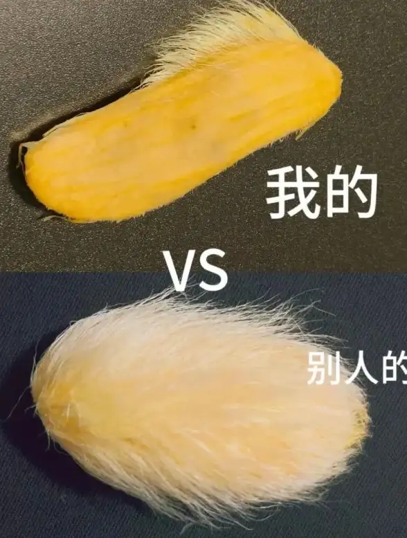宠物养成🔥趣味互动🔥2025最全热门手游推荐指南