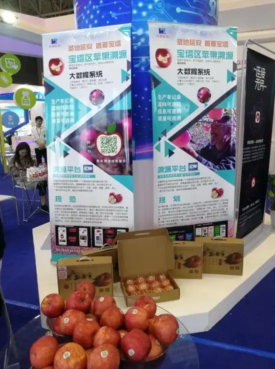 运维新视角 宝塔面板Net4.0云部署详解｜全流程必备指南【部署秘籍】