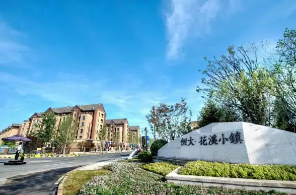 闪速直达｜网站加速秘籍｜服务器提速实用指南【网页优化干货】