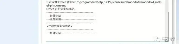 办公软件 激活教程 office激活工具操作指南：小鱼手把手教你激活office2018