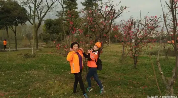 怪物协作★橄榄枯萎★神之亵渎实用打法指南，轻松通关必学技巧揭秘！