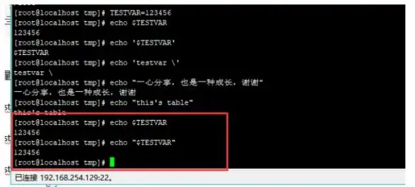 环境配置 系统变量 Linux环境变量详解与设置方法
