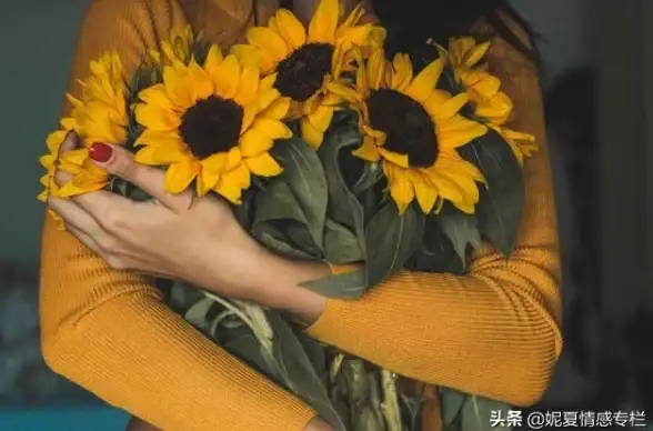 香港主机🔥限时优惠｜edgenat原生IP云服务器低至23元/月，7折特惠优选