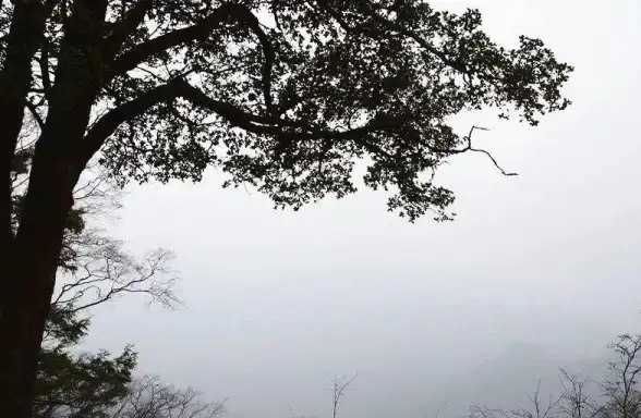 云计算|生态优势 云计算生态新优势专题研讨会圆满举行