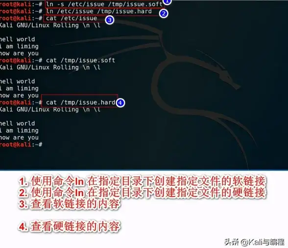 Linux系统 发行版信息 查看linux发行版本的方法与命令大全