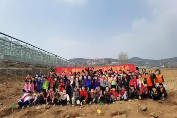 策略指南🌟种子选择技巧 高效玩转文明6最佳攻略