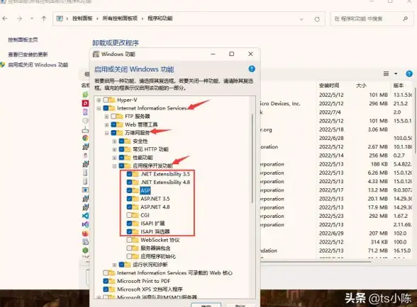 实用指南｜IIS部署核心要点｜ASP项目上线全流程｜提效秘籍】
