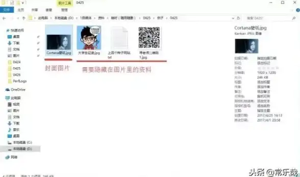 相关实用指南｜玩转高效小娜操作秘籍，Win10效率翻倍技巧揭秘！快捷办公】