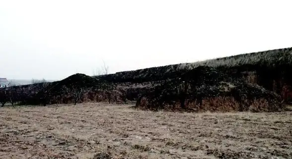 文明7爆款｜满者伯夷文明深度解析｜独特特性+建筑亮点全揭秘