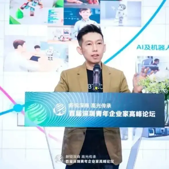 计算核心 驱动器：高效性能实现的关键因素