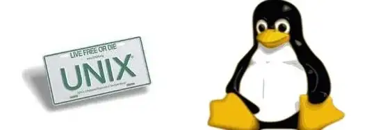 Linux 文件管理 新手指南：linux如何创建文件的方法详解