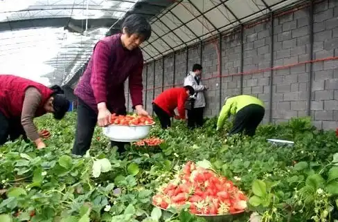 策略指南🔥龙元素抗性解析与高效应对技巧详解