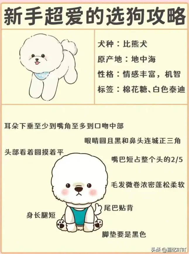 攻略🔥新手必看💡心动小镇家园地块极速解锁全攻略