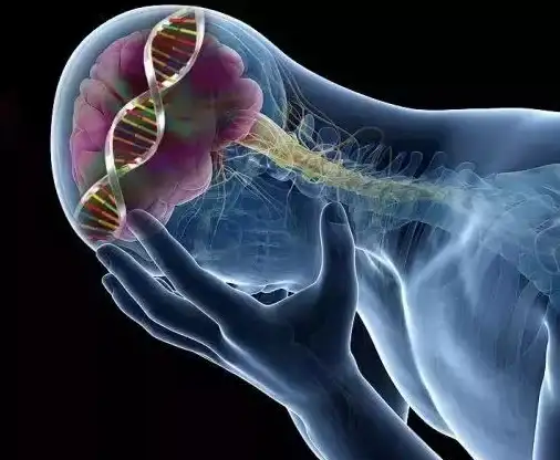关联分析 攻略精华｜移动端JS特效合规集成 前端实用指南 技术洞察】
