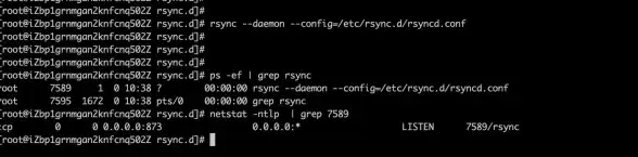 端口管理|网络安全|Linux端口查看指南：全面掌握系统端口状态与使用方法