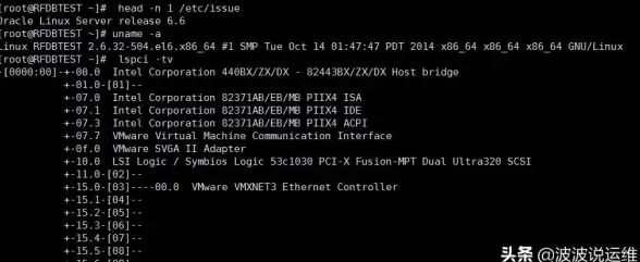 Linux系统 版本查询 如何查看Linux版本