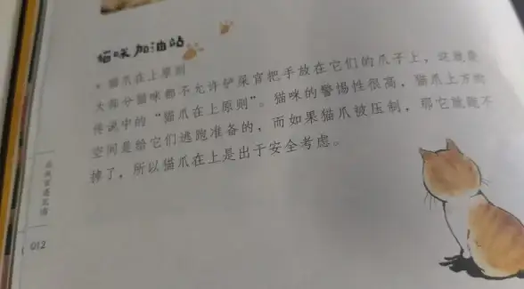 游戏对比🔥dnf传说级爪子哪款性能最强揭秘