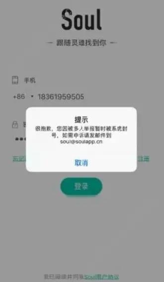 社交神器🟡Soul下载遇阻？一文看懂安装流程与使用技巧