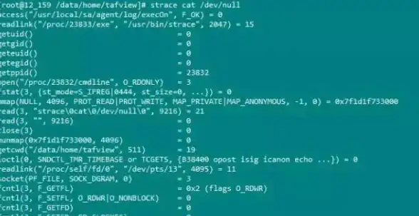 命令行|文件操作|linux cat命令详解及常用用法汇总