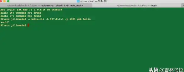 Redis 长连接 Redis长连接机制的技术探讨与应用研究