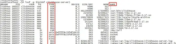 内存管理|系统监控|linux查看内存使用情况的多种方法与详细步骤