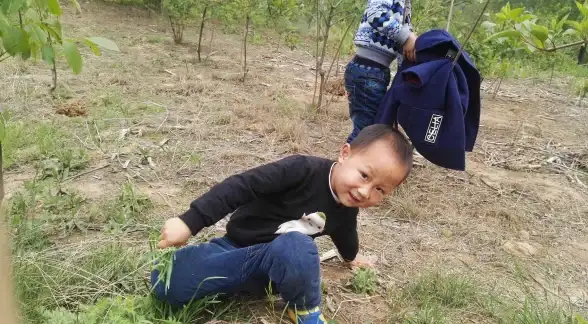 干货·权威解读｜最新源代码结构分析及维修陷阱防范技巧【电脑维修必读】