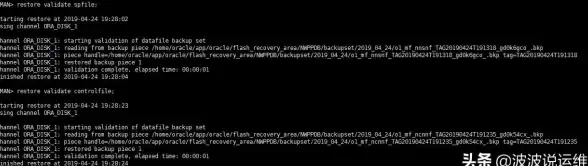 Oracle备份 数据库归档模式设置：将Oracle数据库切换为归档模式并启用RMAN备份