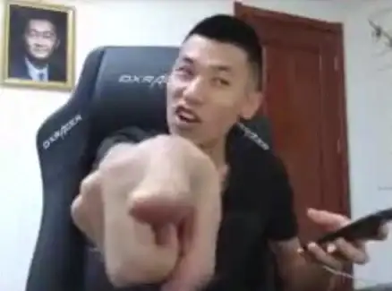 宠物选择🔥宠物萌宠推荐丨DNF换哪个宠物叫声更萌更可爱？