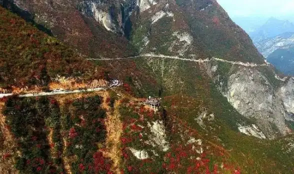 搜索攻略 高效技巧 快团团社群搜索全解析，教你飞速锁定优质信息