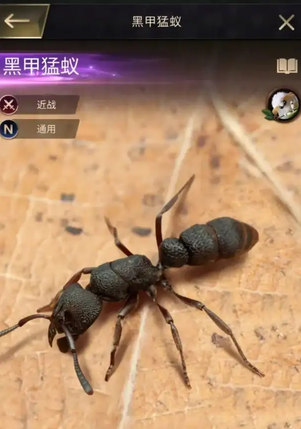 策略指南🔥实力评测 小小蚁国黑色猛蚁全面升级建议与强度深度解析
