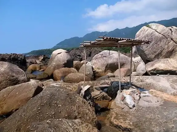 生存技巧🔥饥荒攻略🔥鸟笛配方详解及高效使用指南