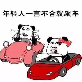 飙车🔥技巧🔥全攻略 黎明飞驰》实用极速飞跃指南揭秘