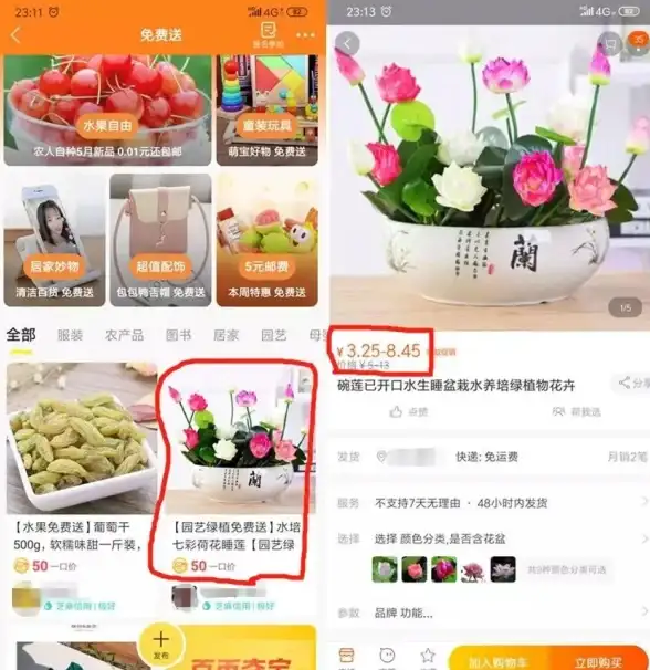 咸鱼之王🎁兑换码🎮使用技巧详解，助你轻松领取新手专属福利