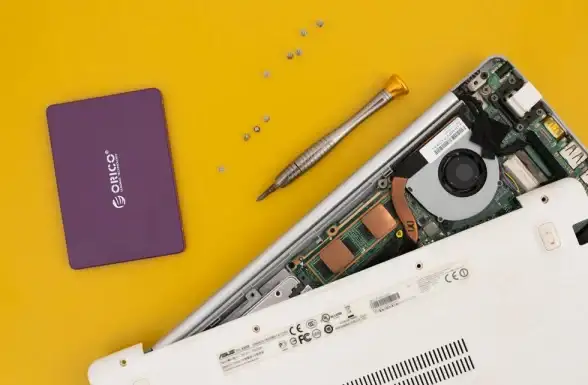 软件推荐🖥系统重装必备：小白科普常用软件盘点与选择全攻略