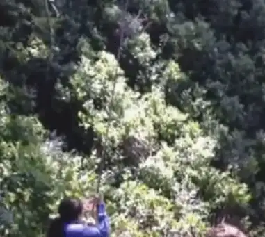 手游推荐🎮找你妹游戏下载：开启爆笑冒险，挑战你的极限反应