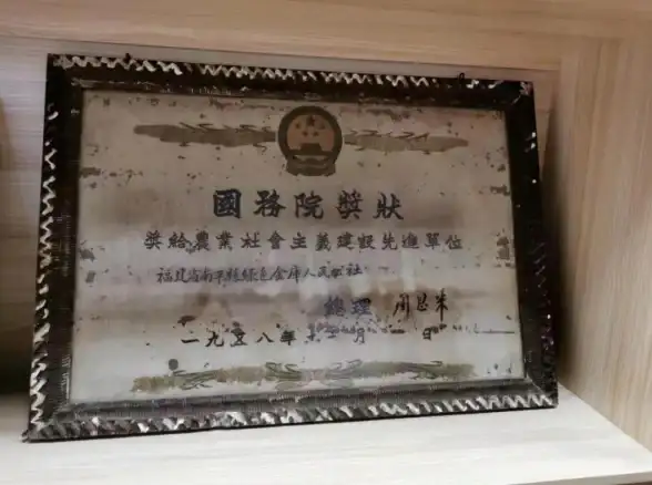 文明6丰产仪式选择推荐