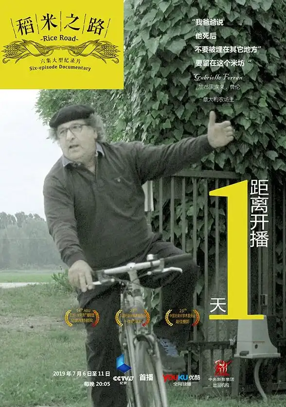 关联视角丨深度实录—优酷下载受限真因分析◆视频合规保存高效指南