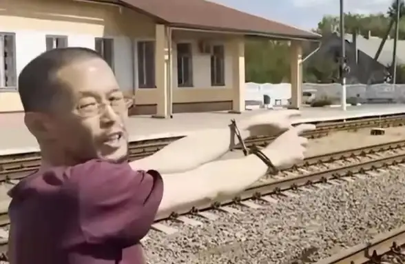 动作🔥冒险🔥战斗 刺客信条影试玩 武士忍者战斗体验震撼升级