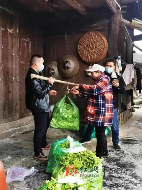 订单管理 通过手机号便捷查订单信息，高效省时助力消费
