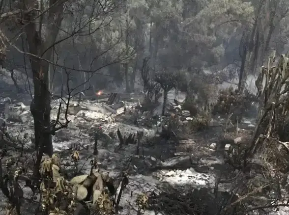 恐怖游戏🔥地狱冒险 近期更新内容深度解析