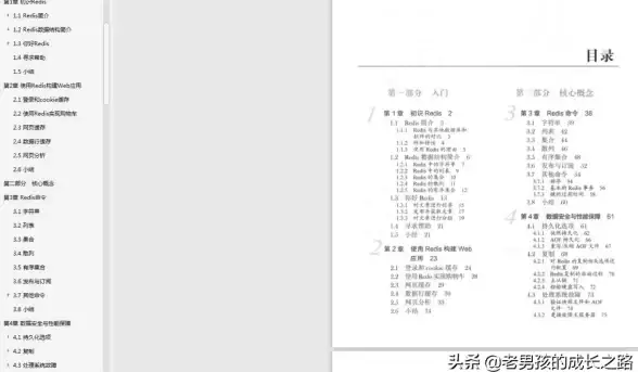 Redis优化 线程管理 Redis线程池高效清理机制解析，redis线程池资源释放方法