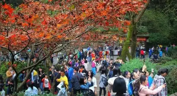 热门攻略🔥光遇恐怖动作先祖坐标全解析分享