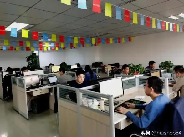 洞见｜B2B2C平台数据隔离核心揭秘 ShopNC源码逻辑深解✦电商安全实践