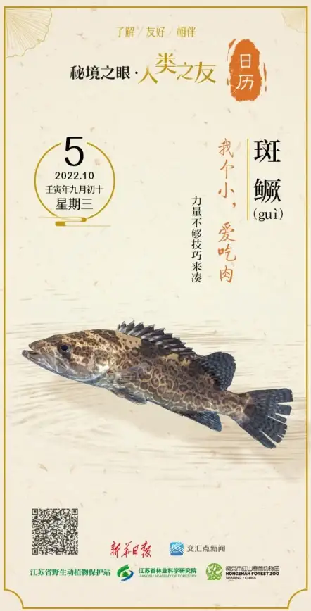 游戏难度🔥怪物猎人GU村与秘境探险挑战哪个更狠