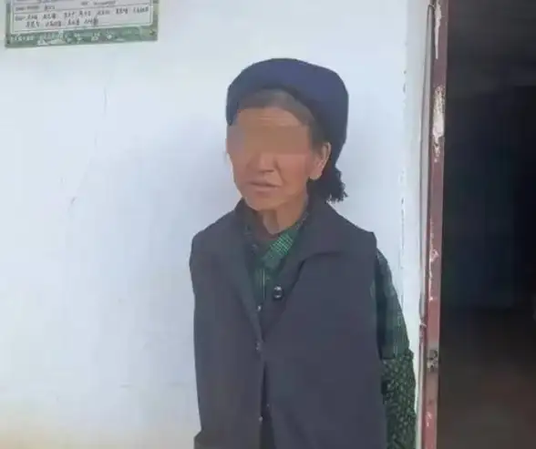 实用高效工具推荐｜波波视频批量下载全流程解析【自媒体干货】快速掌握核心技巧