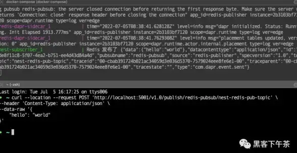 Redis锁机制 分布式锁 Redis读锁的正确用法及使用方法解析