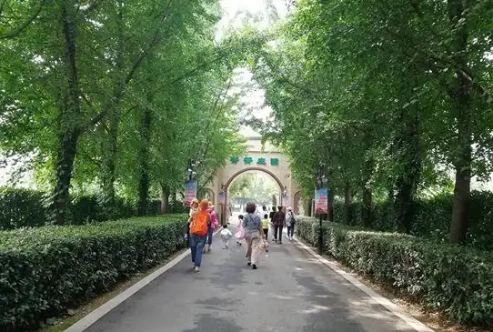 💎充值党⚔平民玩家🔥乐缤纷庄园氪金非氪金全方位对比解析